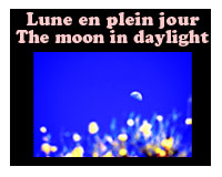 Lien vers la série : Lune en plein jour